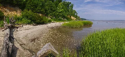 York River State Park