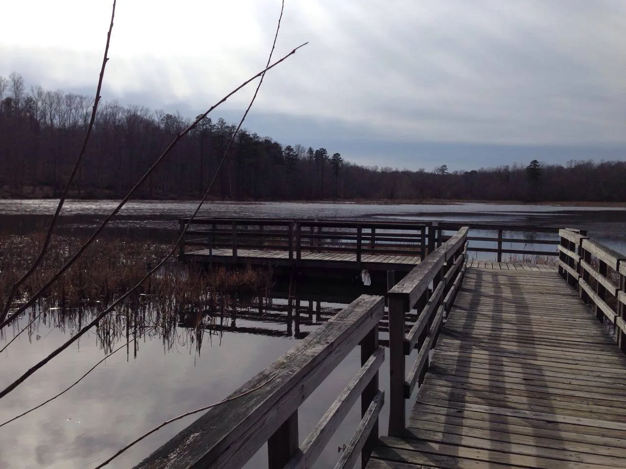 Wooden boardwalk and railing over still lake water with dark trees