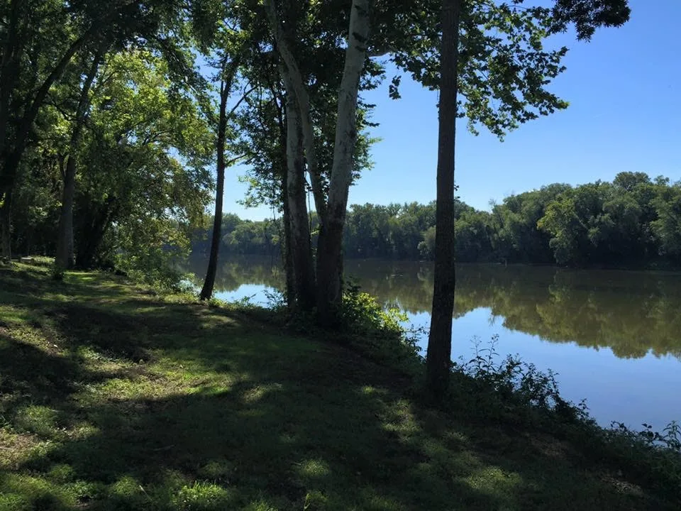 Calm river lined with trees under a blue sky, seen from a grassy bank