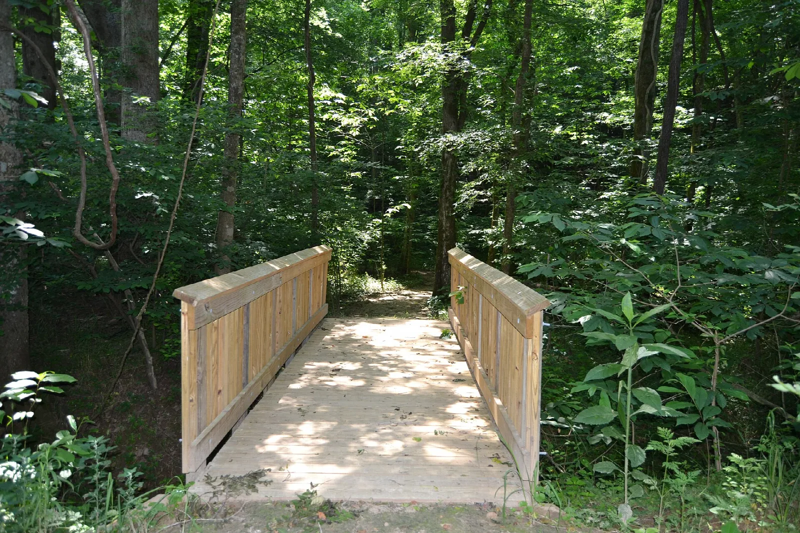 Wooden footbridge on a trail in the woods