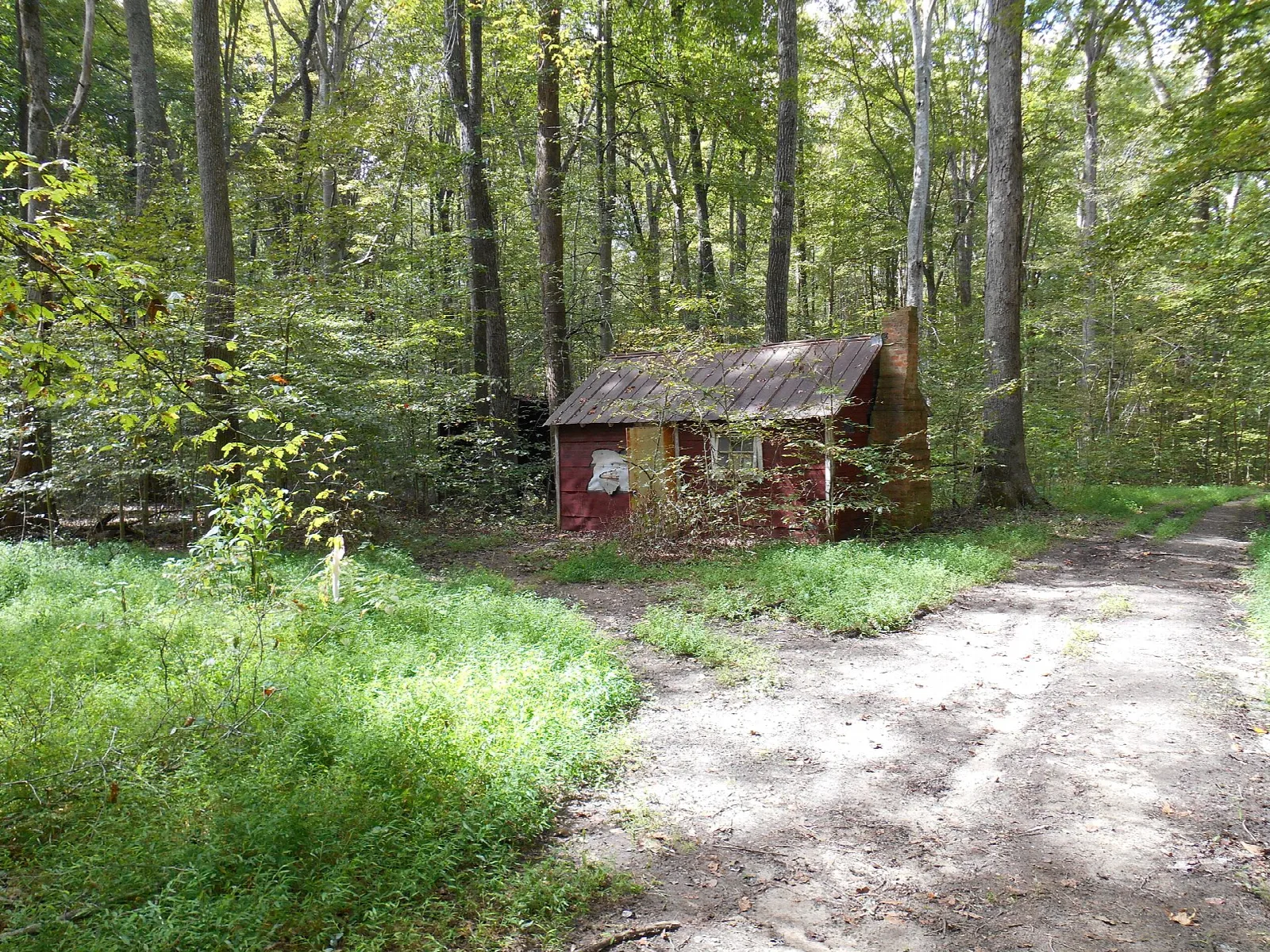 Small red cabin in the woods beside a gravel track