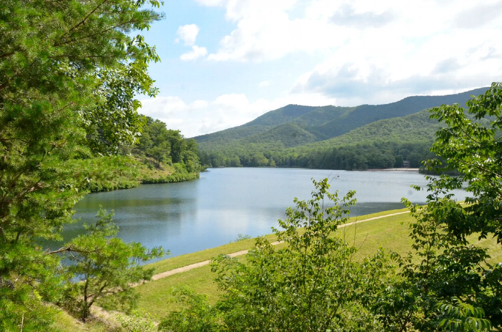 Lake with a grassy dam in front and forested mountains behind