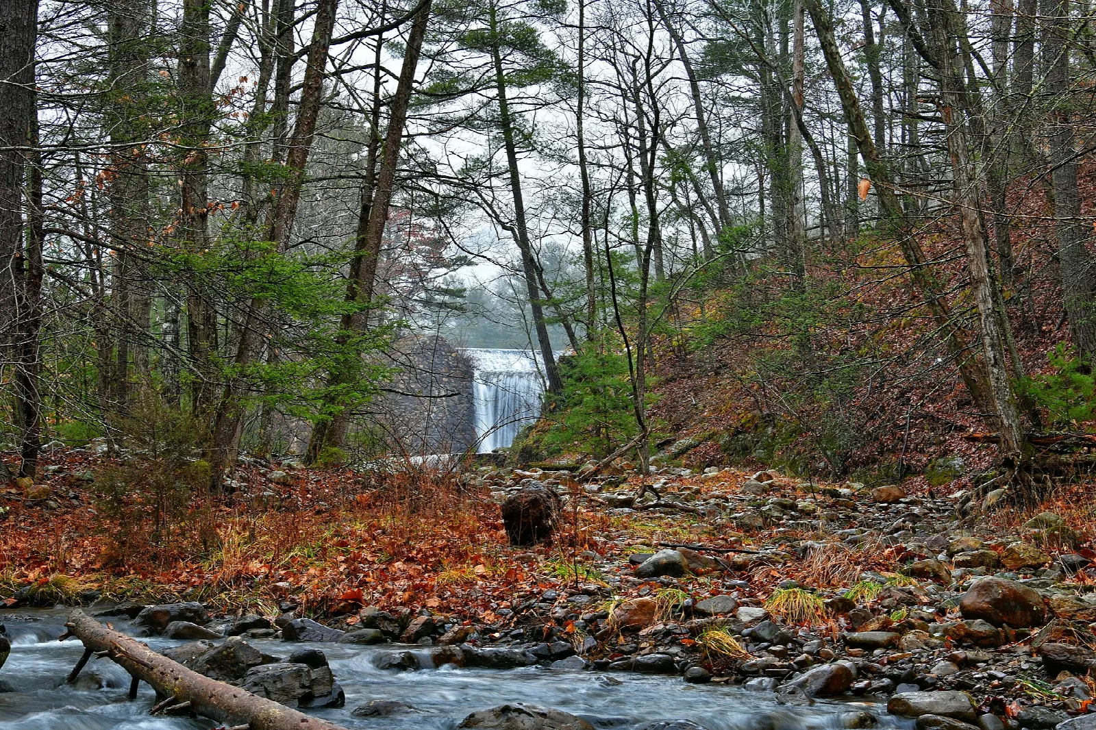 Small waterfall above a rocky creek lined with fall leaves