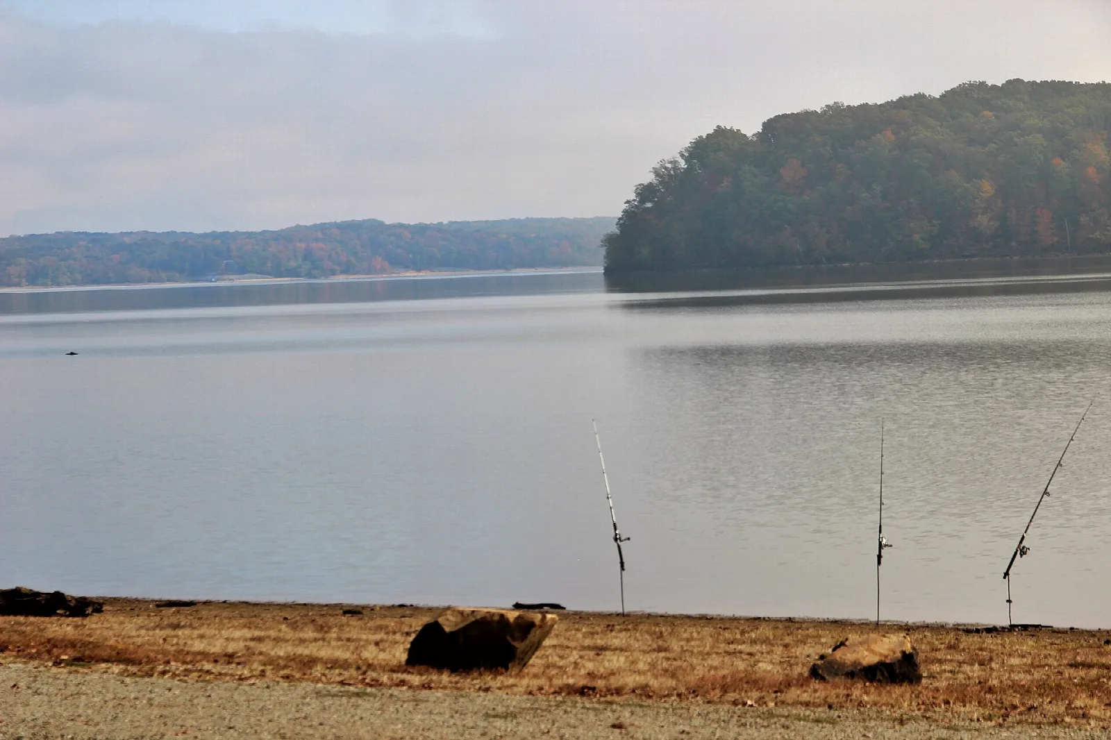 Calm lake with fishing rods propped on a sandy shore