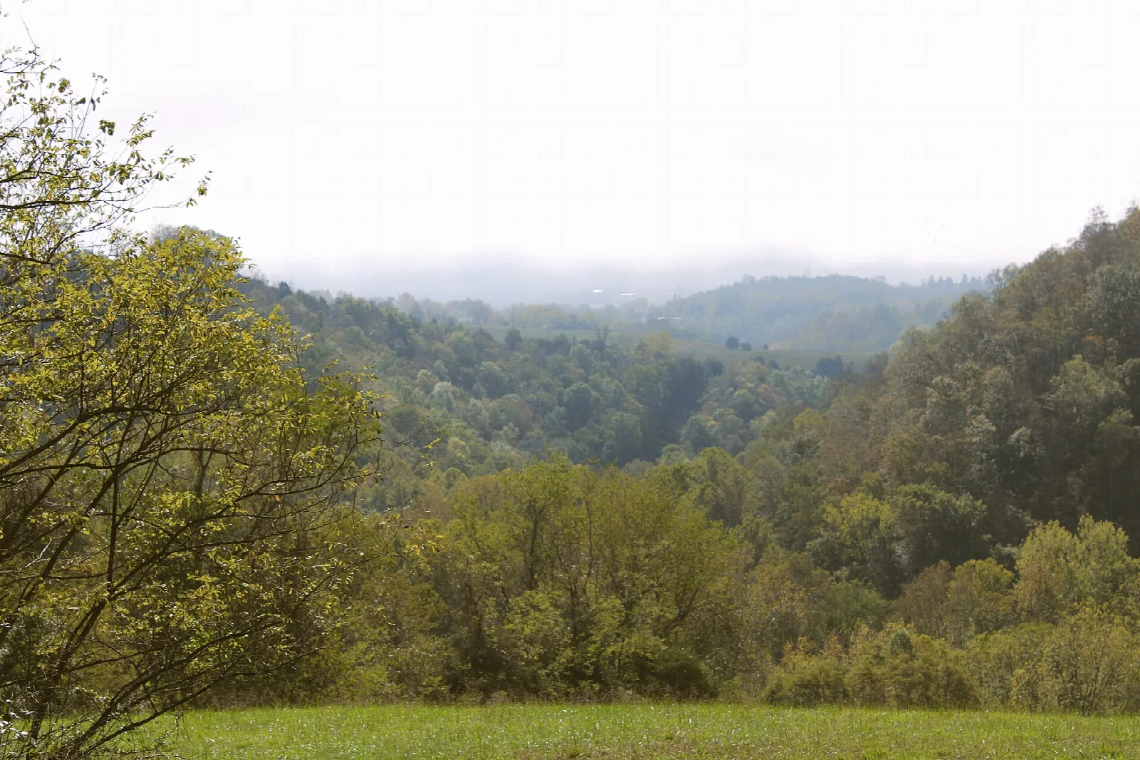 Grassy meadow and forested hills under cloud