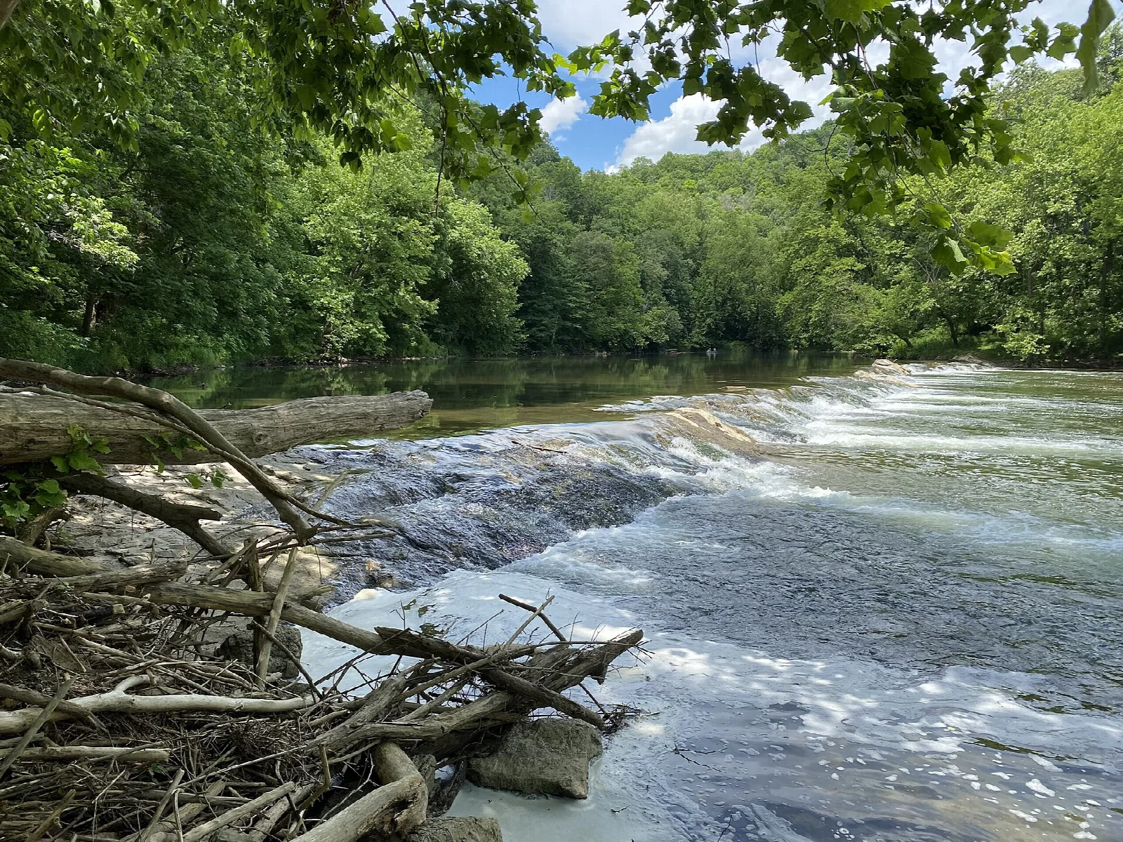 Low river weir with water flowing over rocks beneath green trees