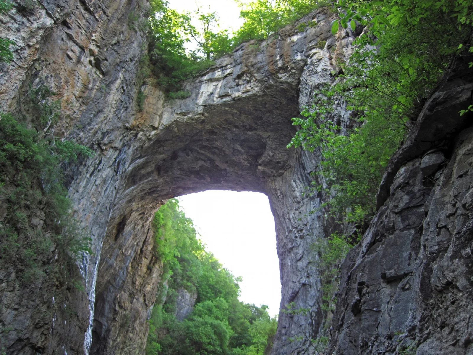 Rock arch with green trees growing above and sky showing through