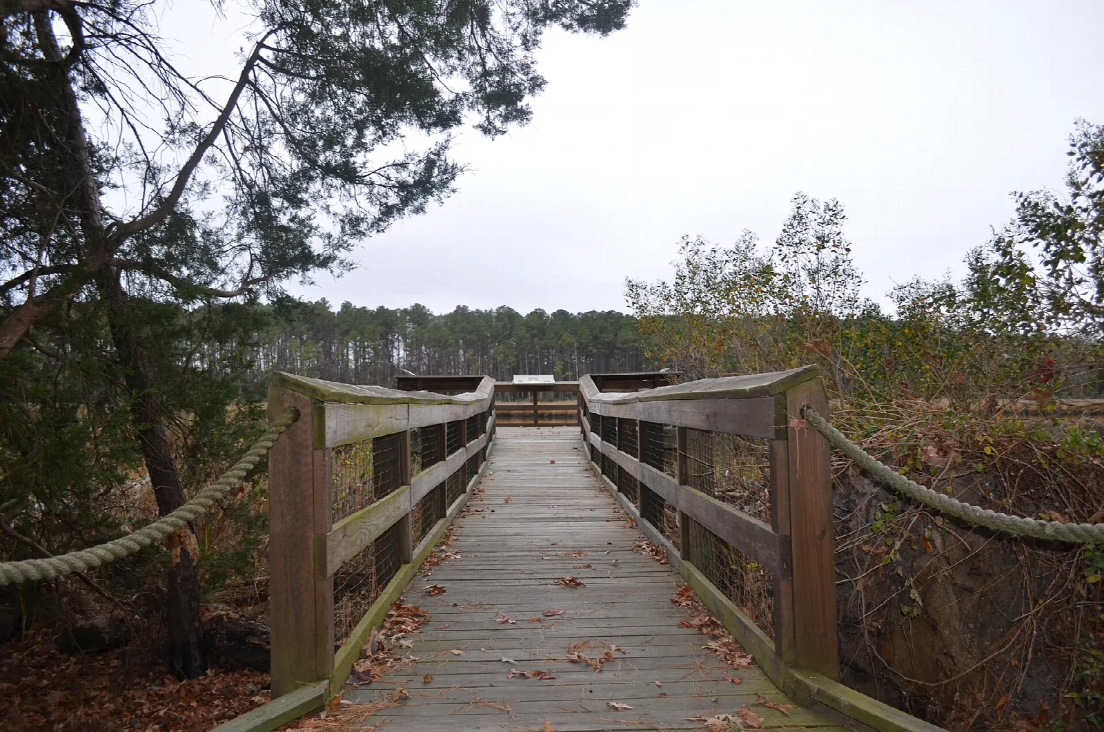 Wooden boardwalk with rope rails leading across a marsh