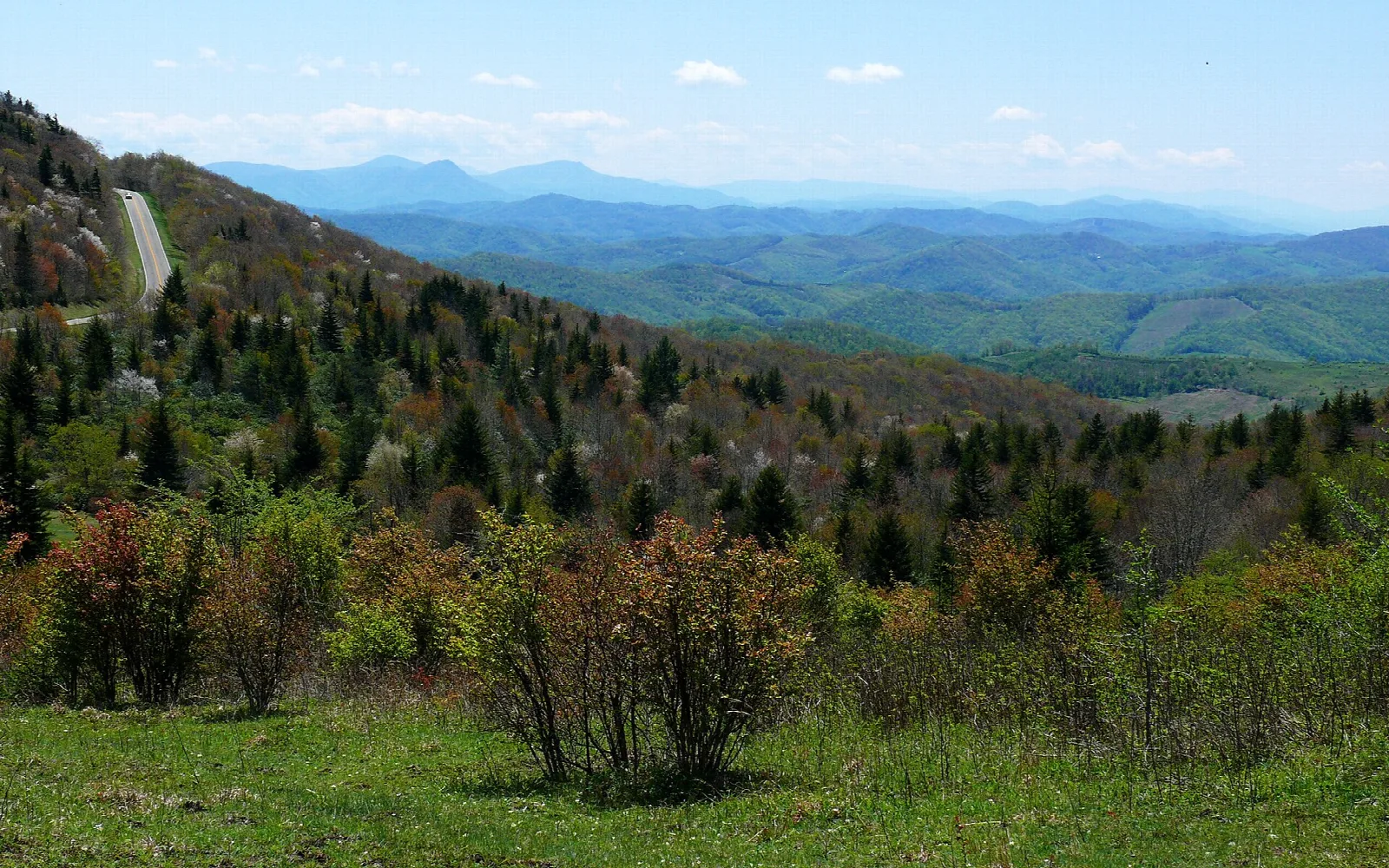 Green mountain slopes and distant blue ridges from Wilburn Ridge