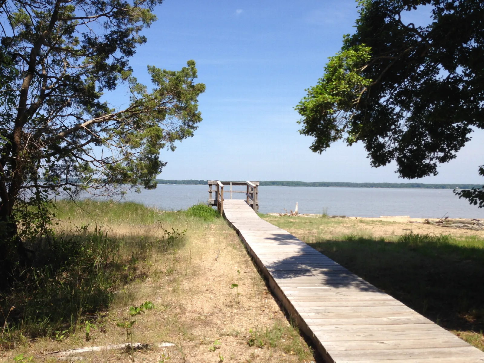 Wooden boardwalk leading to the wide river under a blue sky