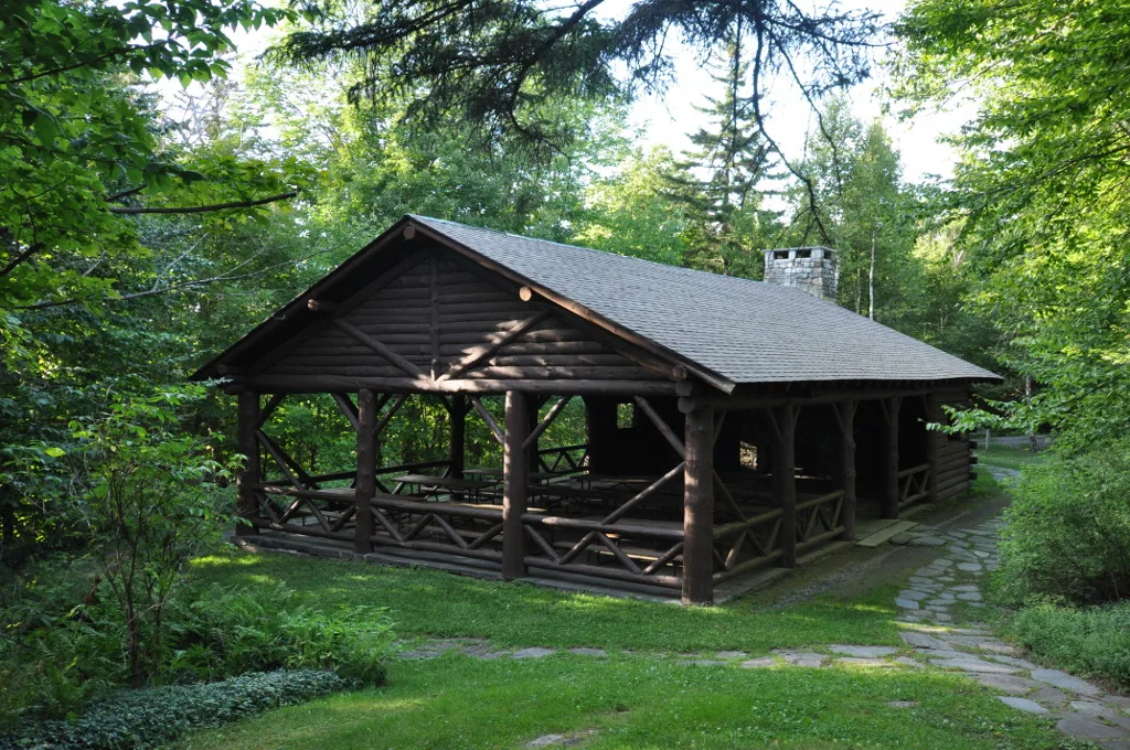 Log-built picnic pavilion with a shingle roof, set in green forest beside a stone path