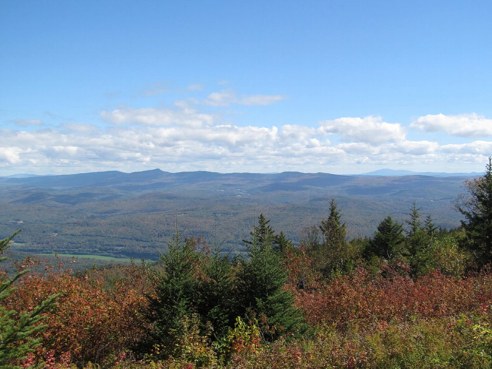Distant ridgelines under a blue sky with clouds, seen over spruce and red autumn shrubs