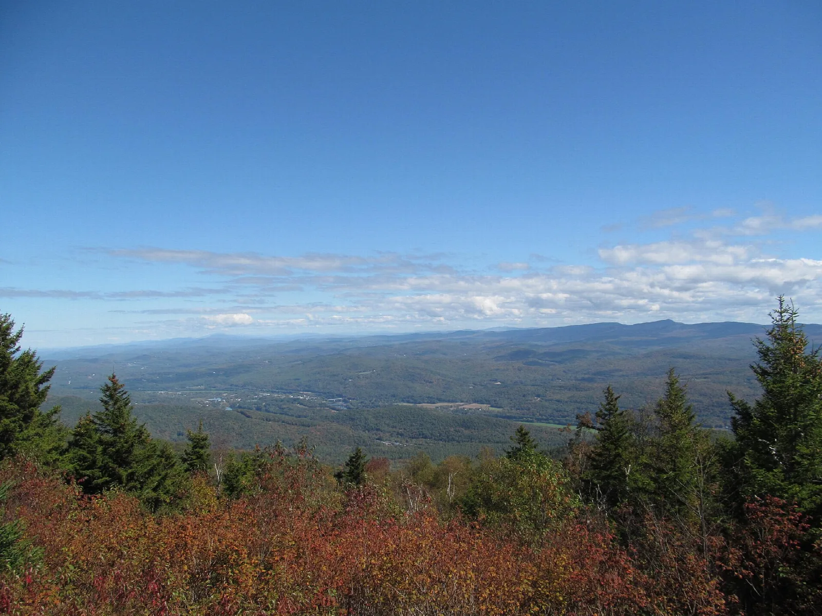 Wide view of blue ridgelines and valley from a summit, with red shrubs and spruce in front