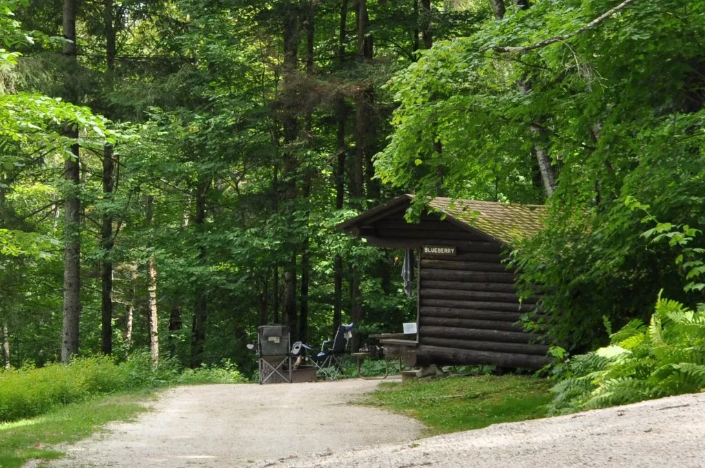 Small log lean-to shelter among green trees beside a gravel track