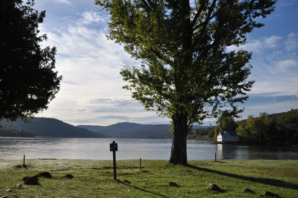 Lakeshore with a large tree, a post sign and a shoreline of hills across calm water