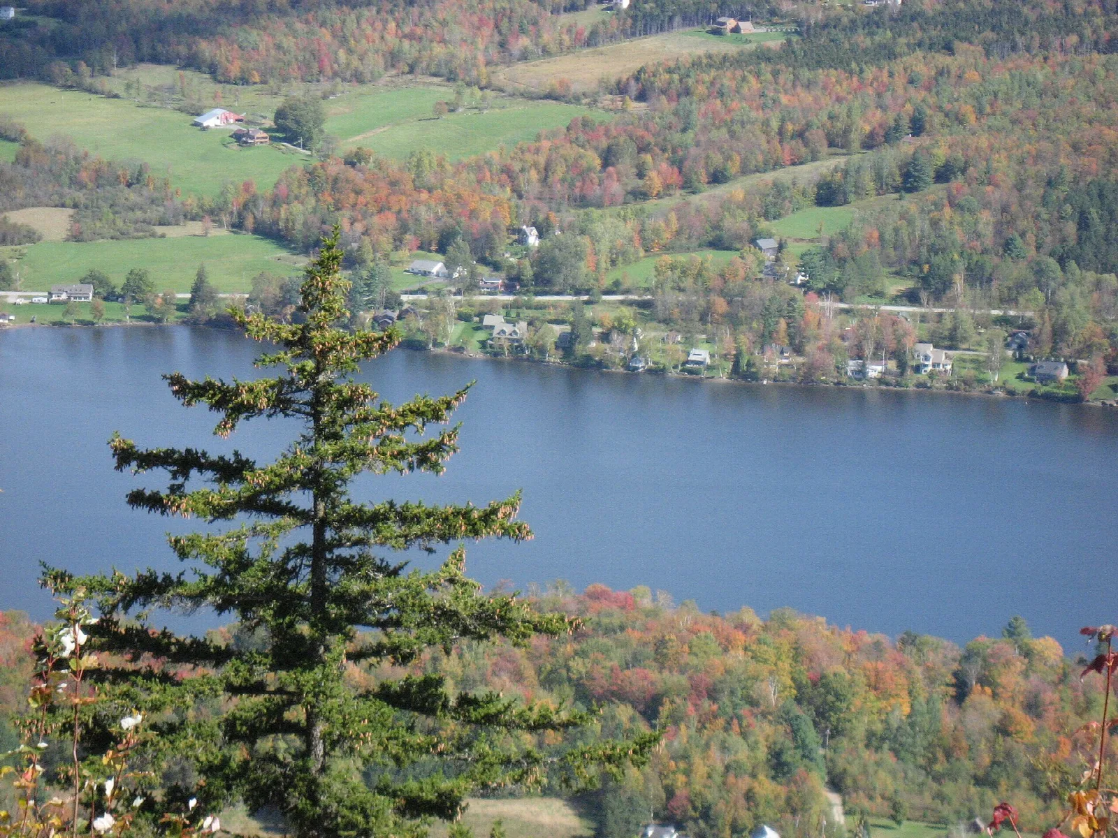 A lake with a village along the far shore, framed by a spruce tree in the foreground