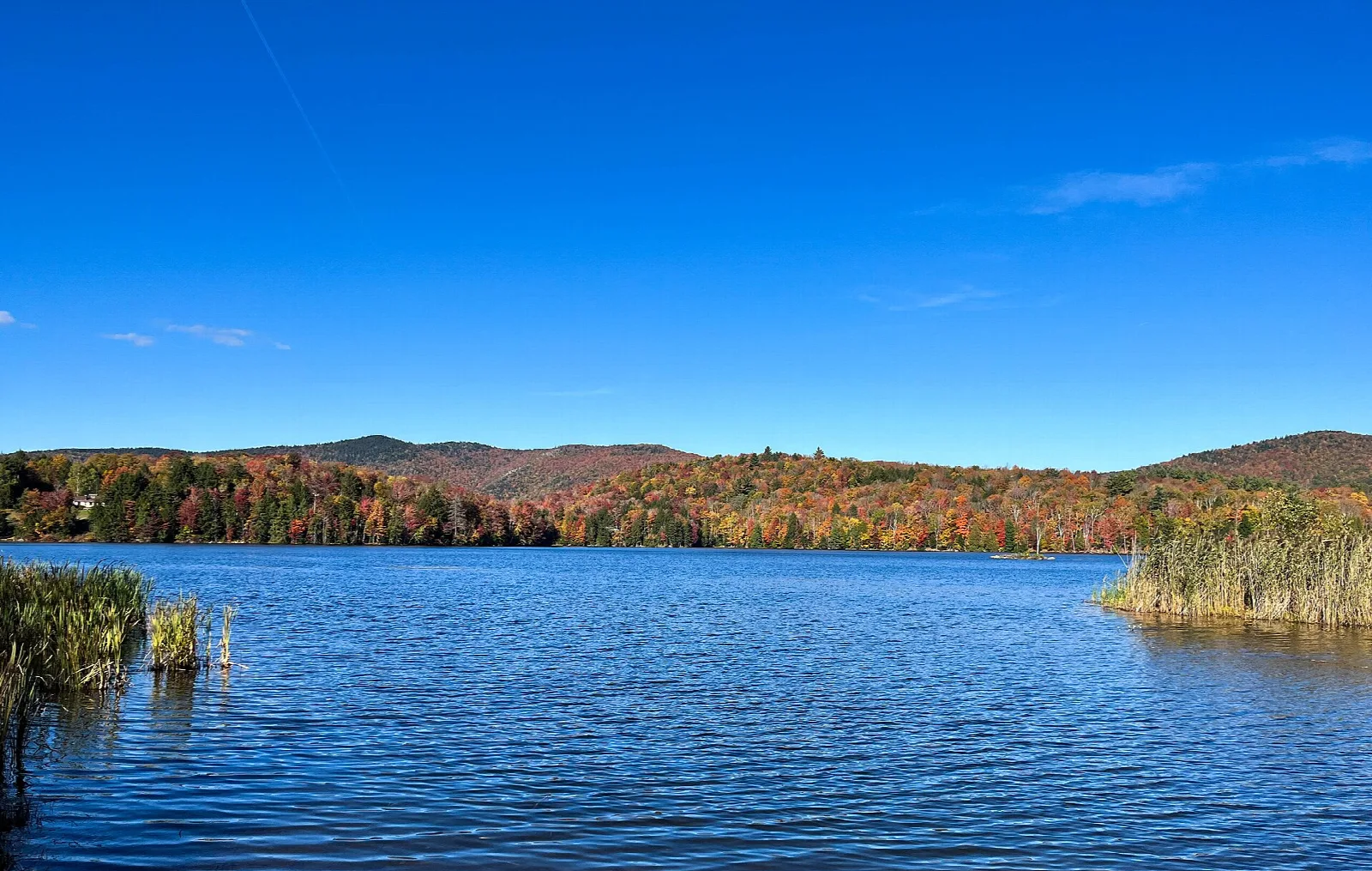 Blue lake lined with reeds and a tree-covered ridge in fall color under a clear sky