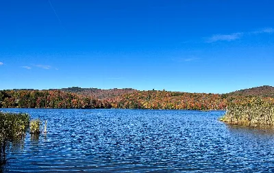 Gifford Woods State Park