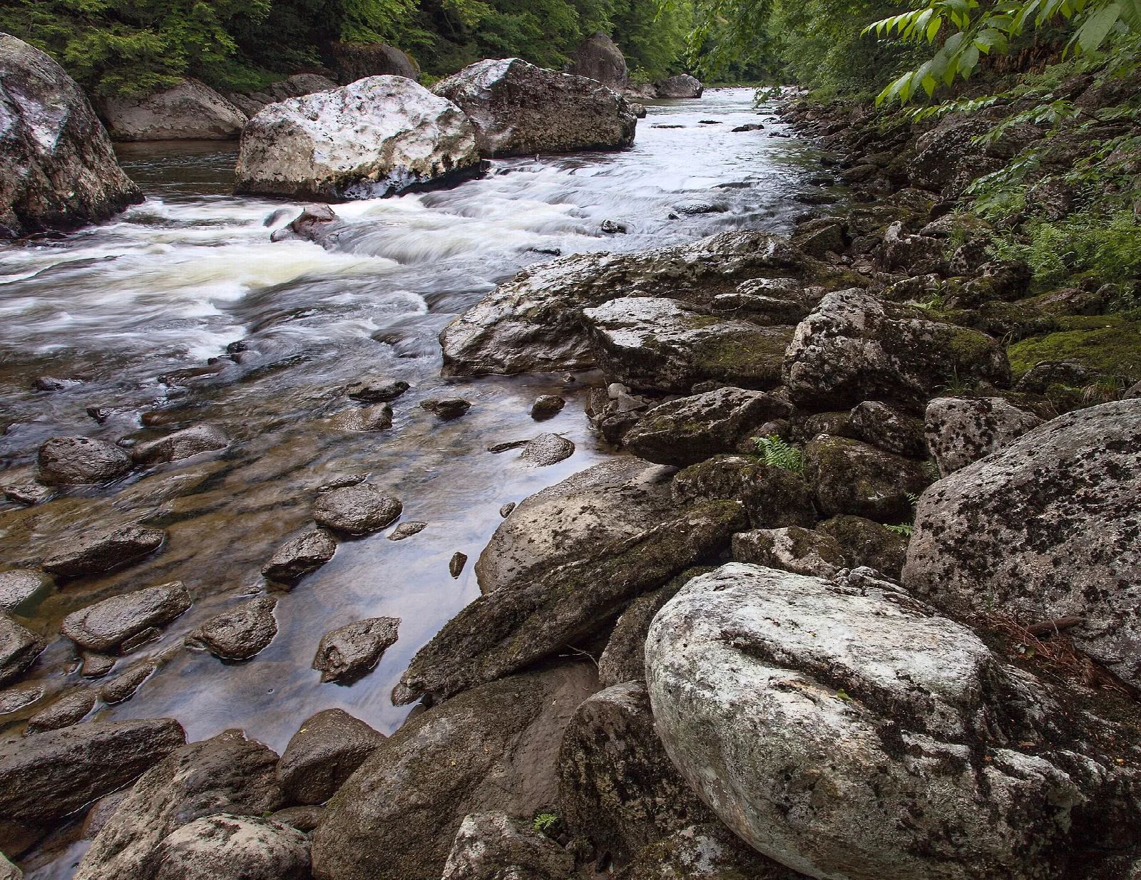 Shallow river running over large rocks and boulders between wooded banks