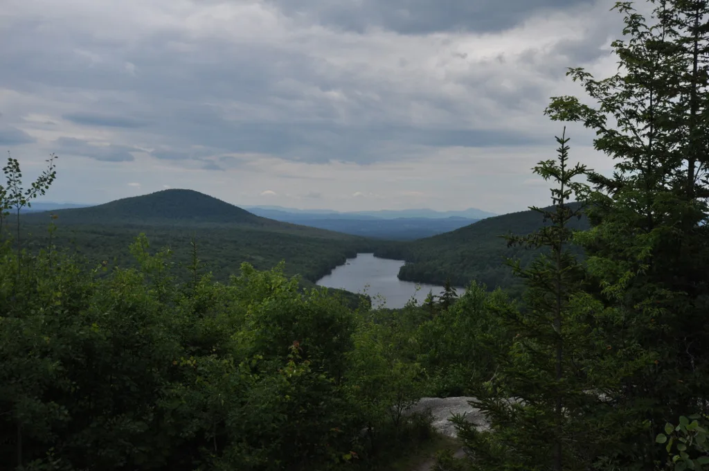 Forested hills and a small lake seen through evergreen branches under cloudy sky