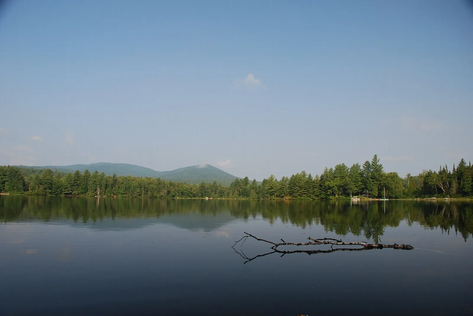 Still pond with a forested shoreline and a mountain in the distance