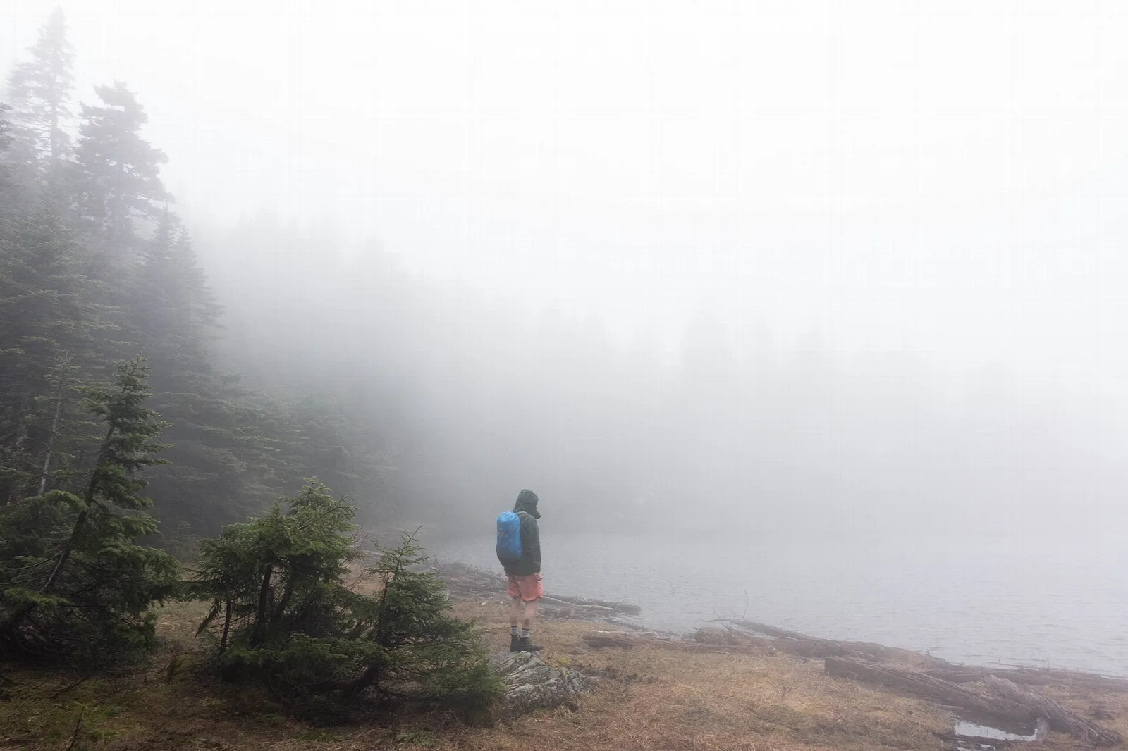Hiker on a rocky shore beside a foggy pond with spruce trees