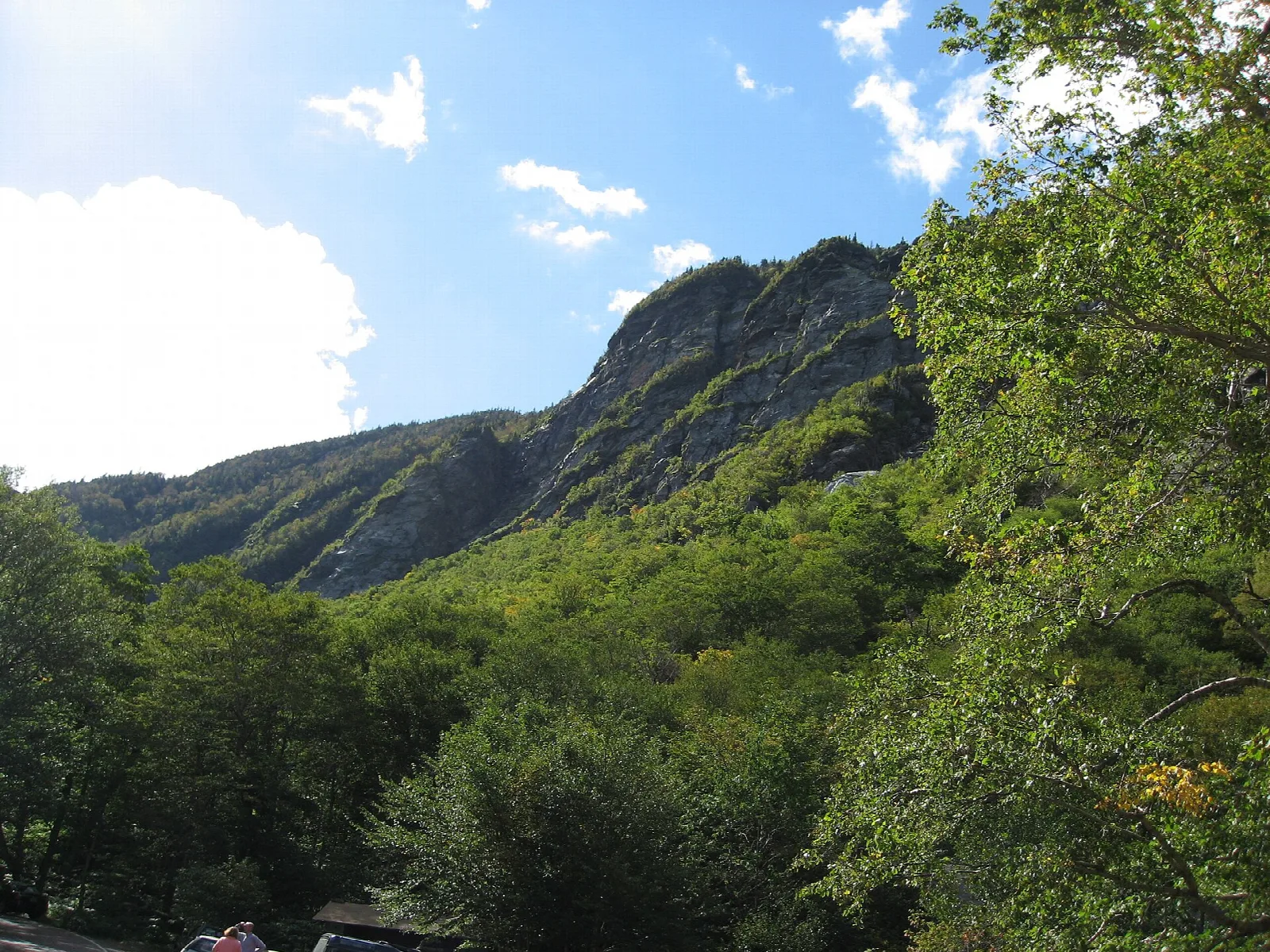 Rocky green mountain ridge rising above forest under blue sky