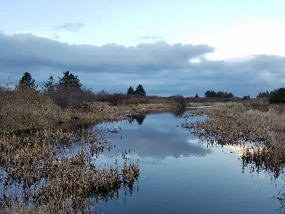 Bottle Beach State Park
