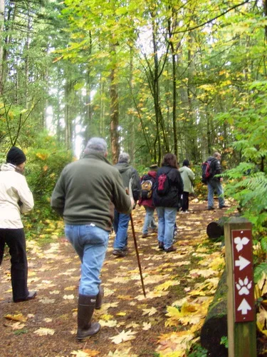 Bridle Trails State Park