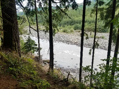Federation Forest State Park