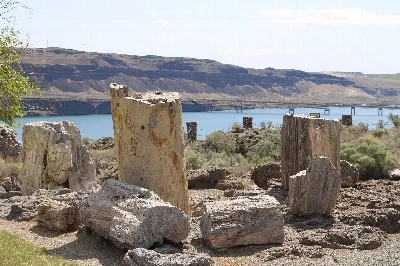 Ginkgo Petrified Forest State Park