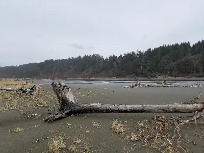 Griffiths-Priday State Park