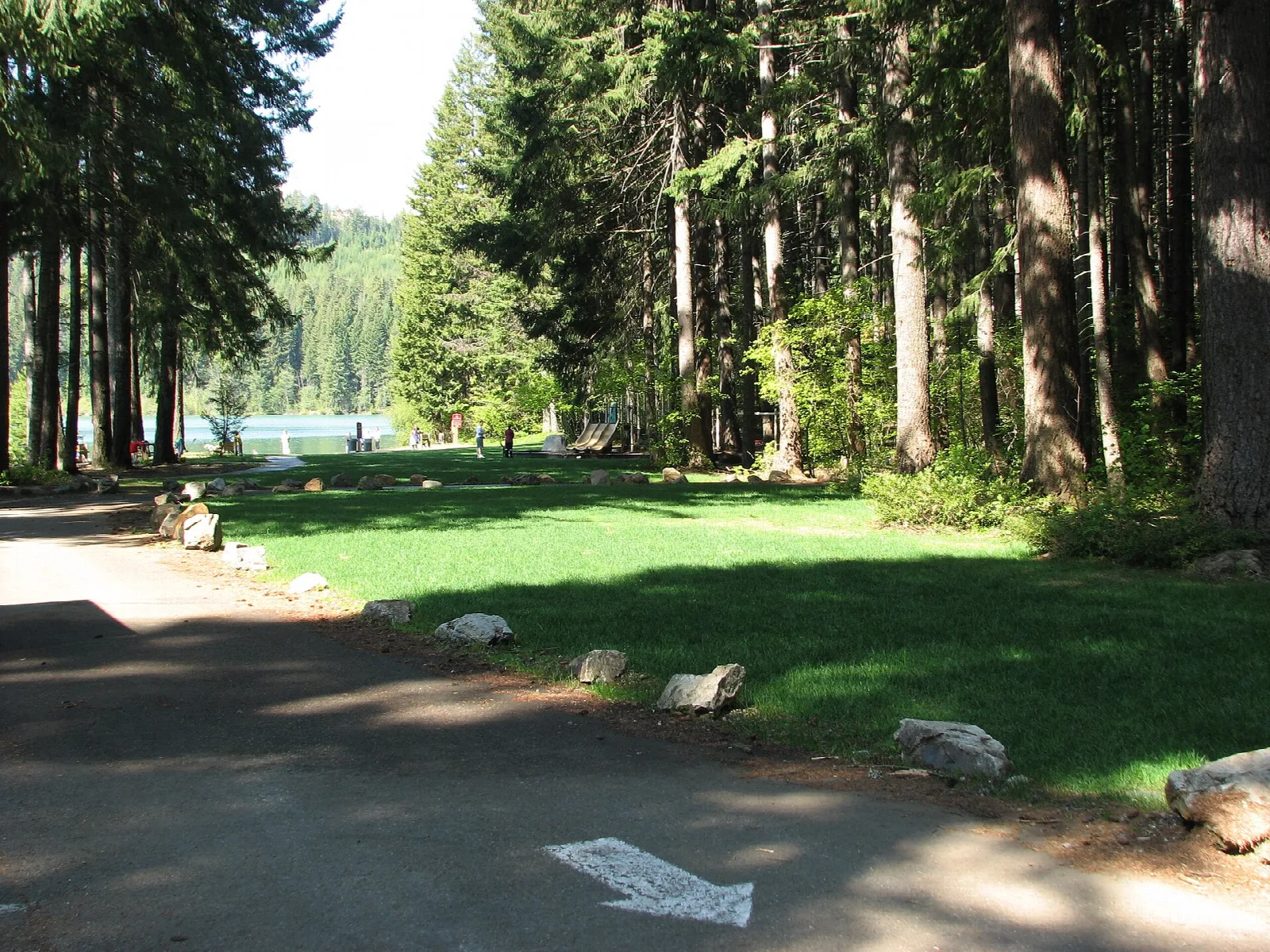 Paved path beside a mown lawn and tall trees leading toward the lake