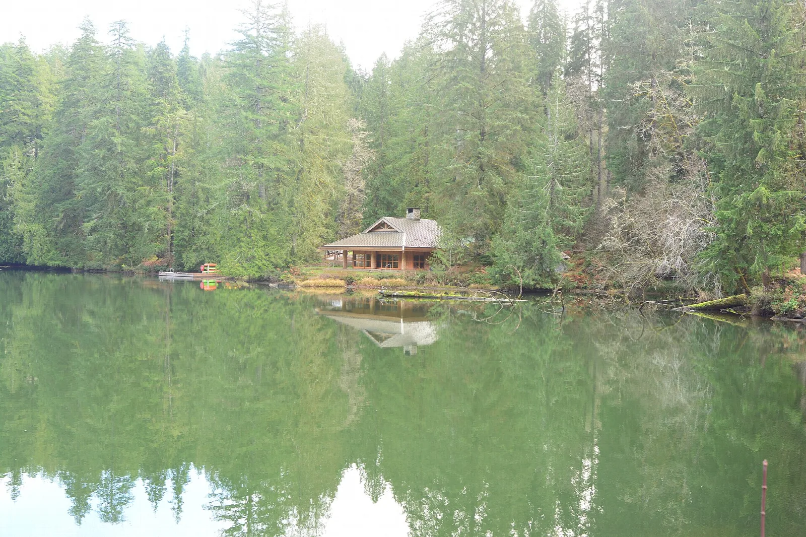 Wooden pavilion across calm green water in a forest