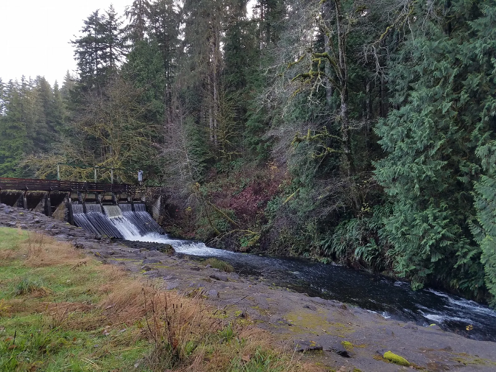 Small old dam with water spilling over into a forest creek