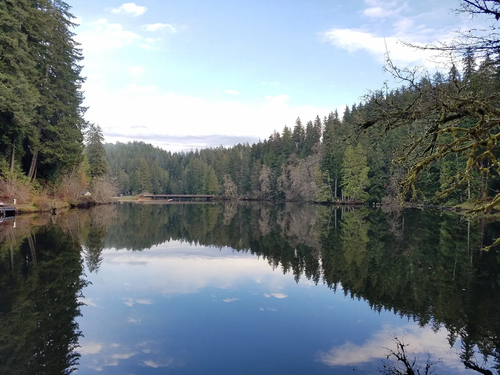 Still lake mirroring evergreen forest and sky