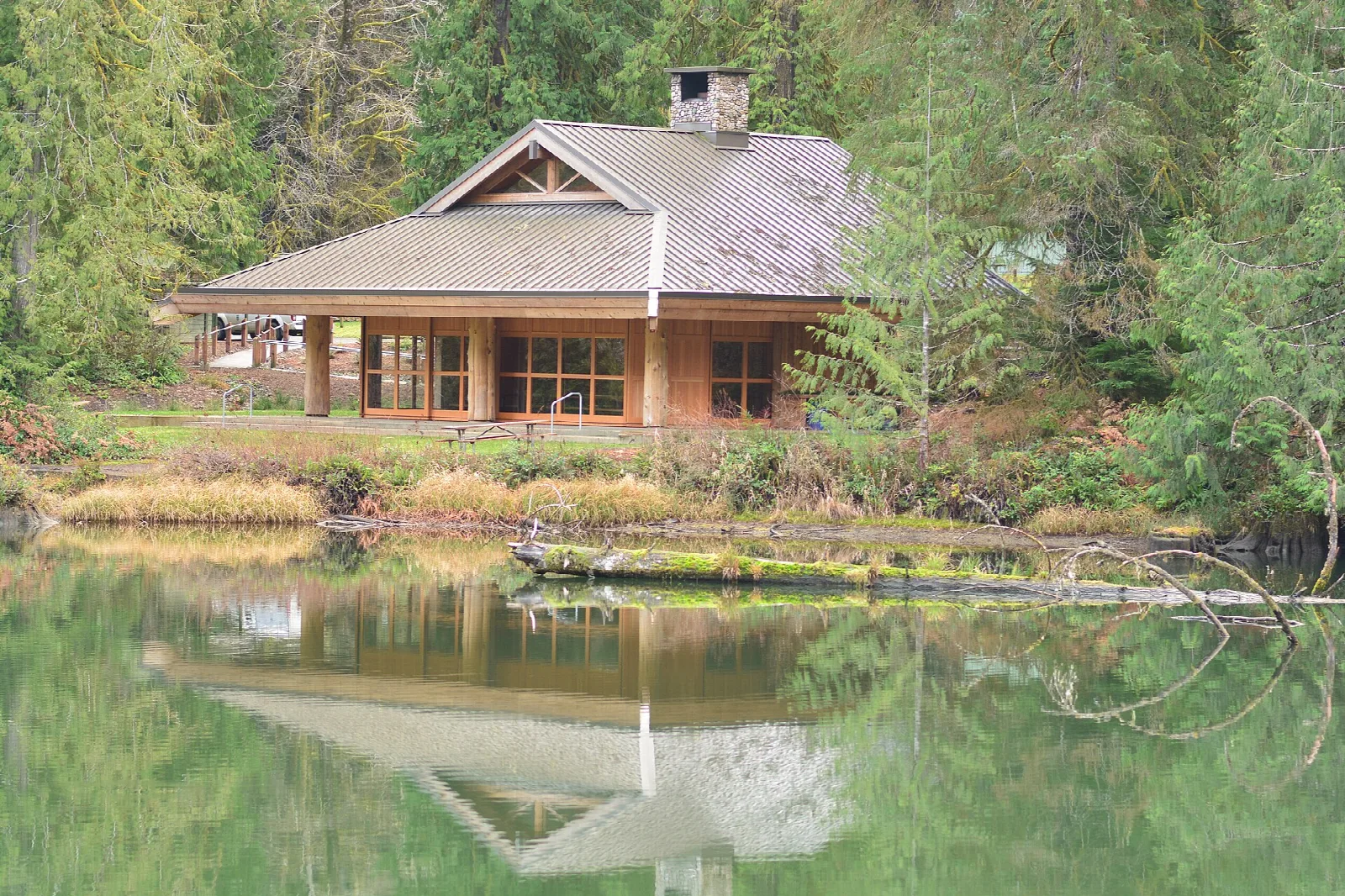 Timber pavilion on the lake shore among conifers