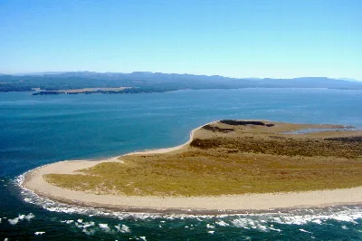 Leadbetter Point State Park