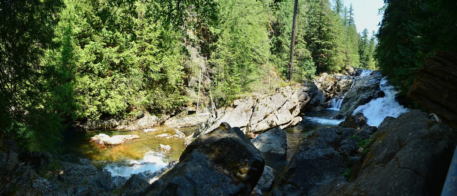River rapids among boulders under green forest