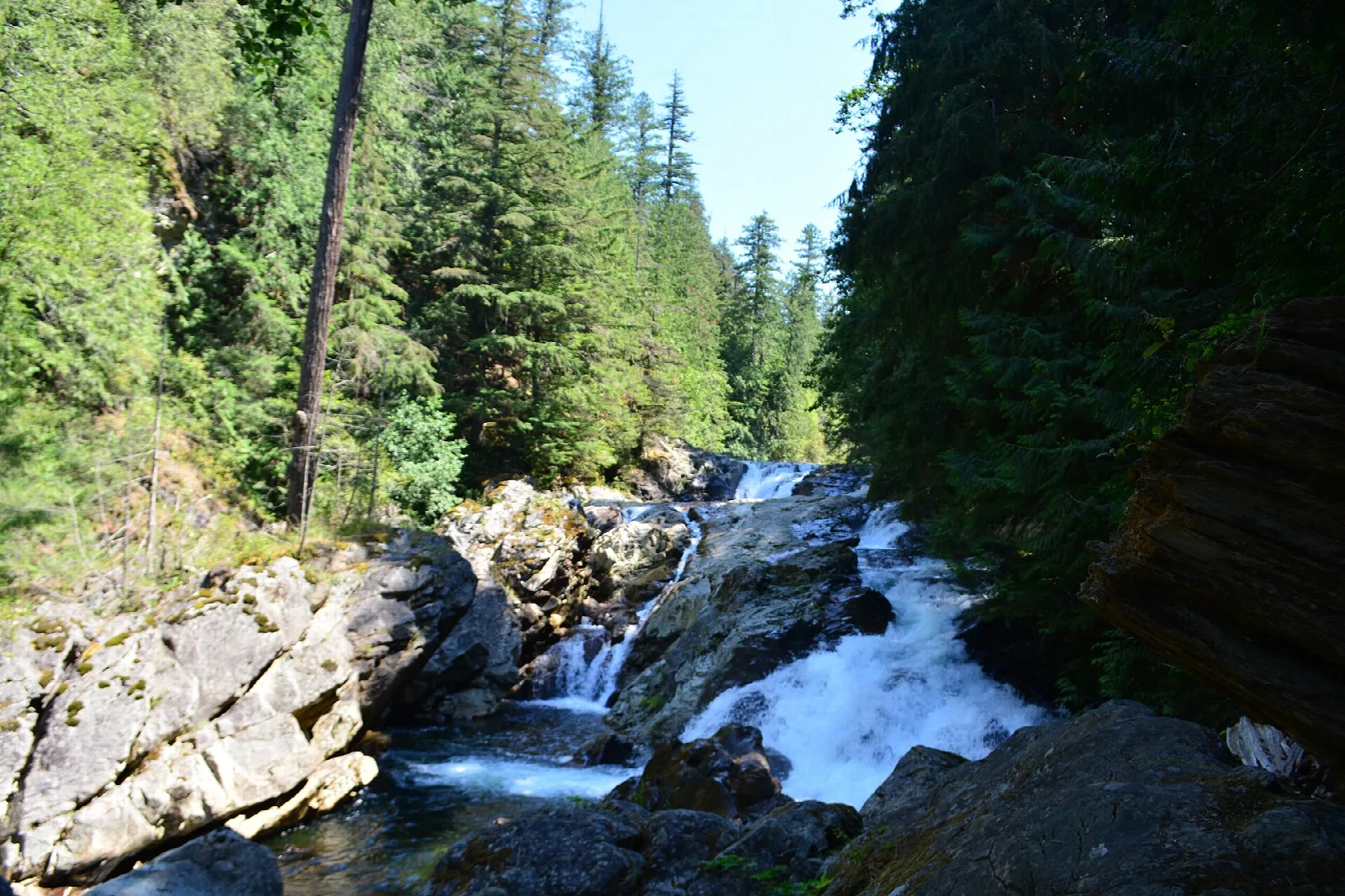 River cascades between rock ledges and tall evergreens