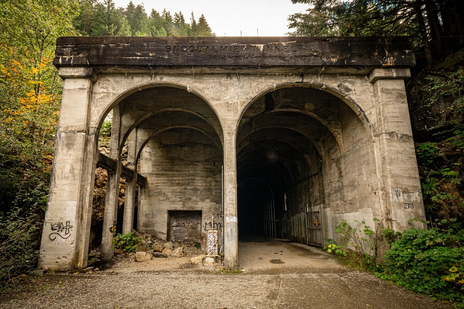 Concrete arched tunnel portal in forest