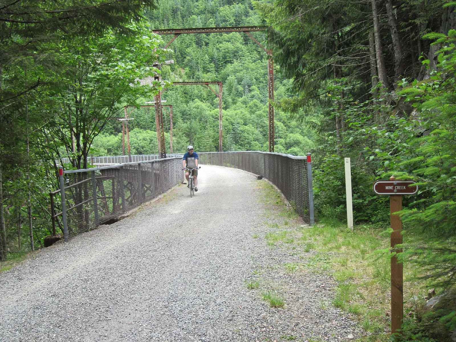 Cyclist crossing a railed trestle in green forest