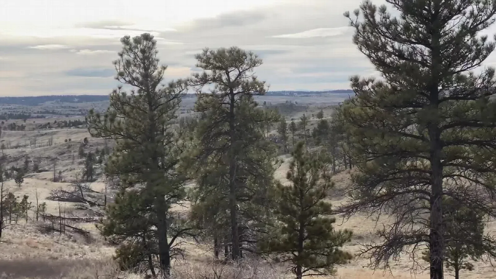 View related to Crooked Creek State Natural Area