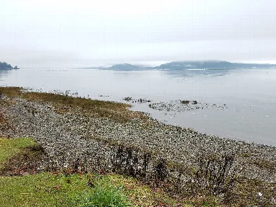 Potlatch State Park