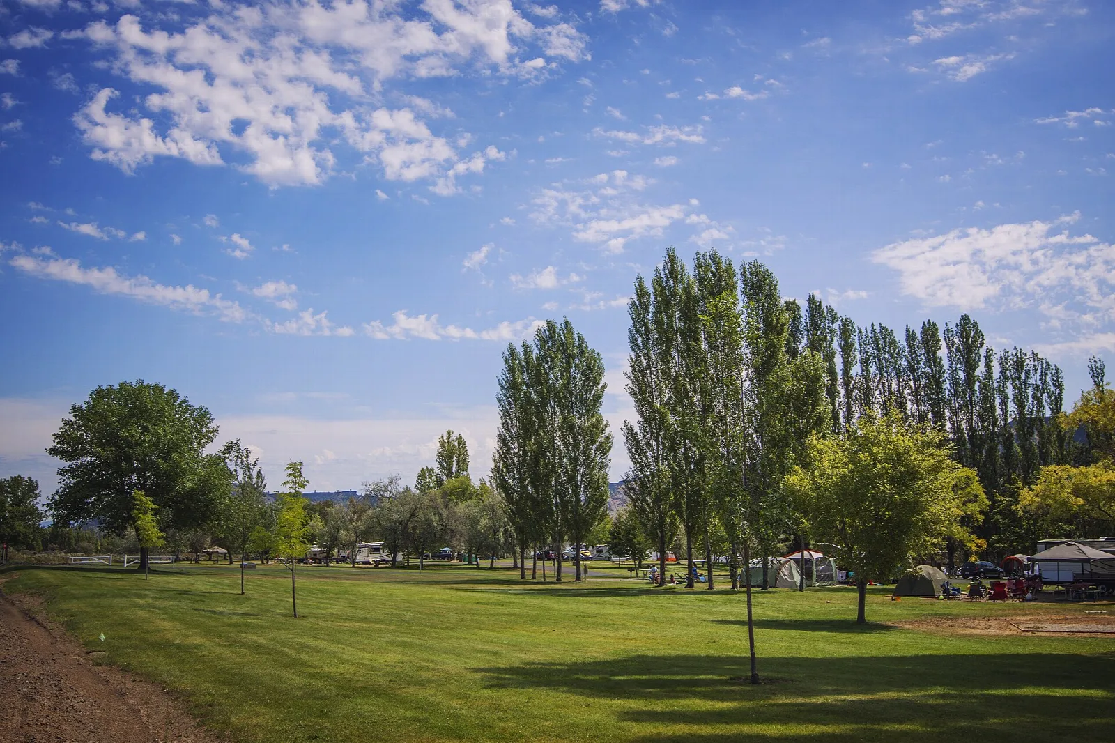 Green lawn with tall poplars and shade trees under a blue sky