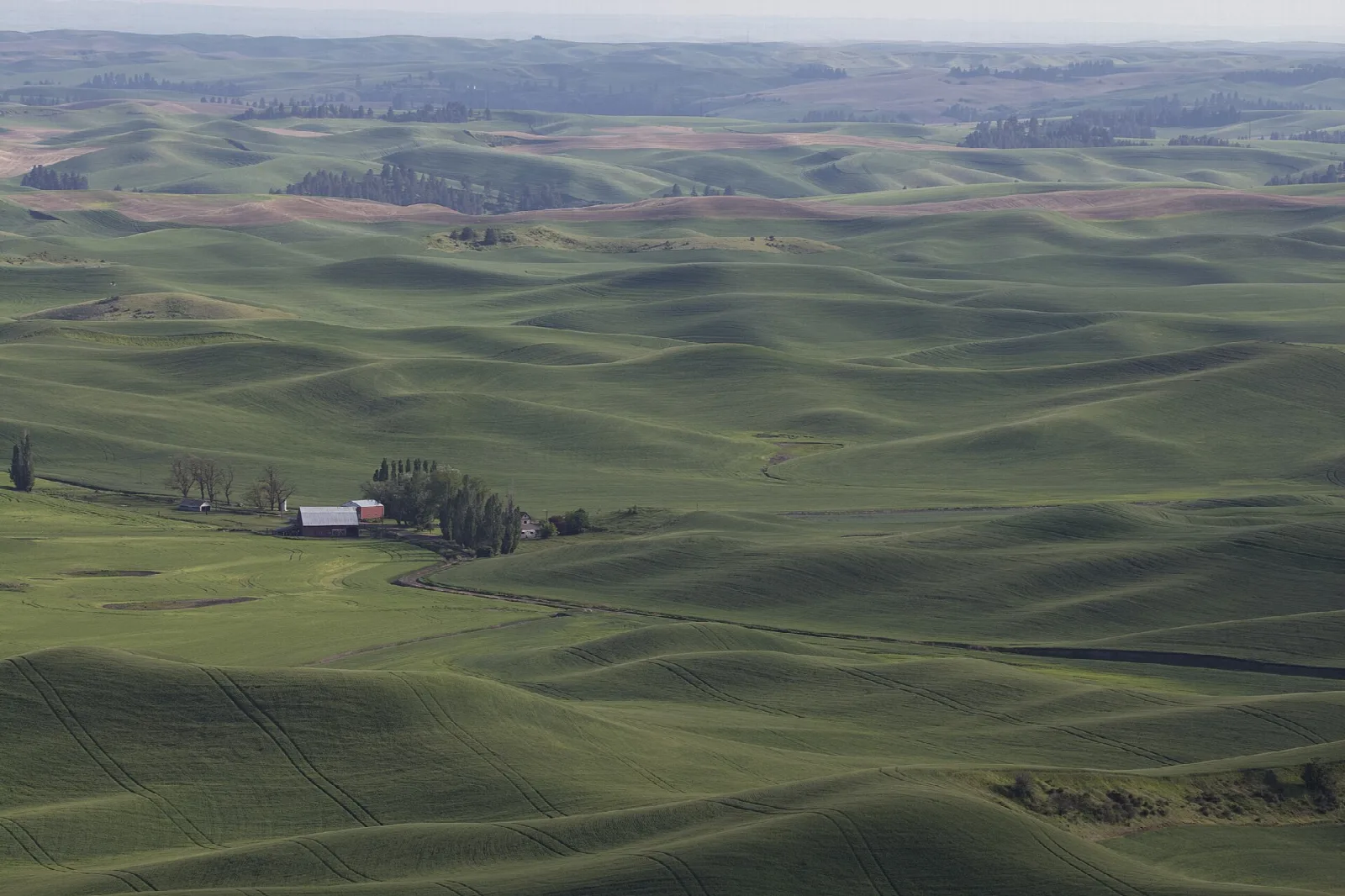Soft misty rolling hills with a farm and trees