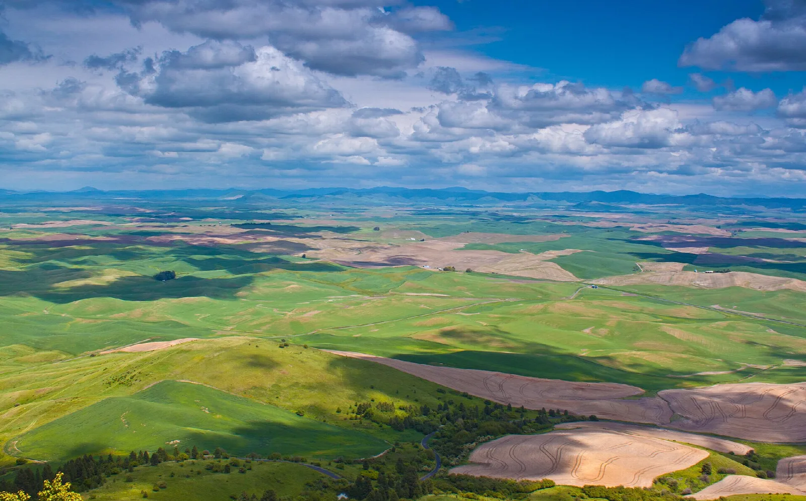 Wide farm country under towering clouds seen from the butte