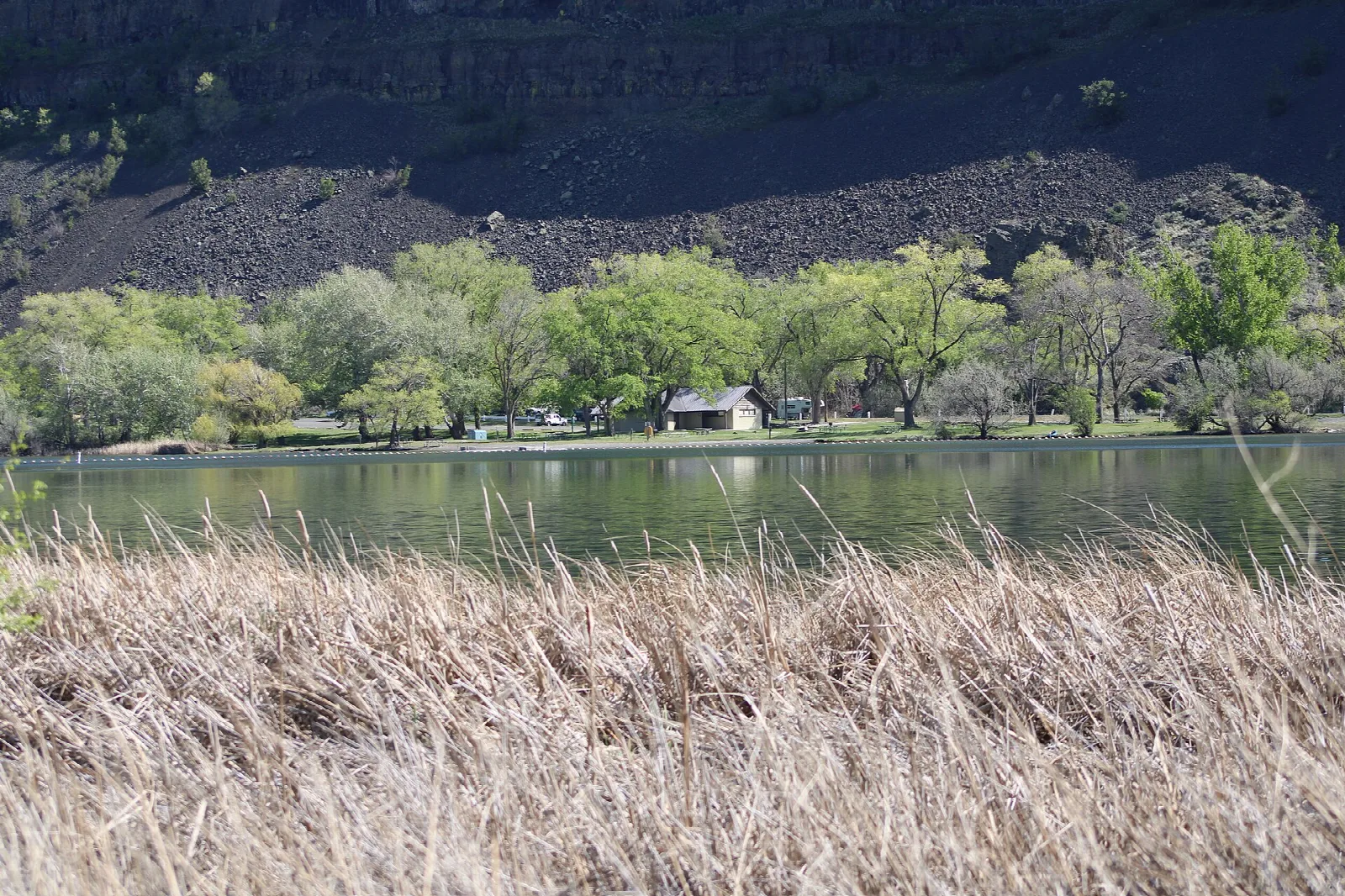 Park Lake picnic area with green trees along the water and tall dry grass