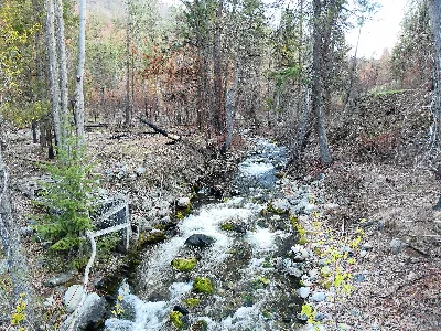 Twenty-Five Mile Creek State Park