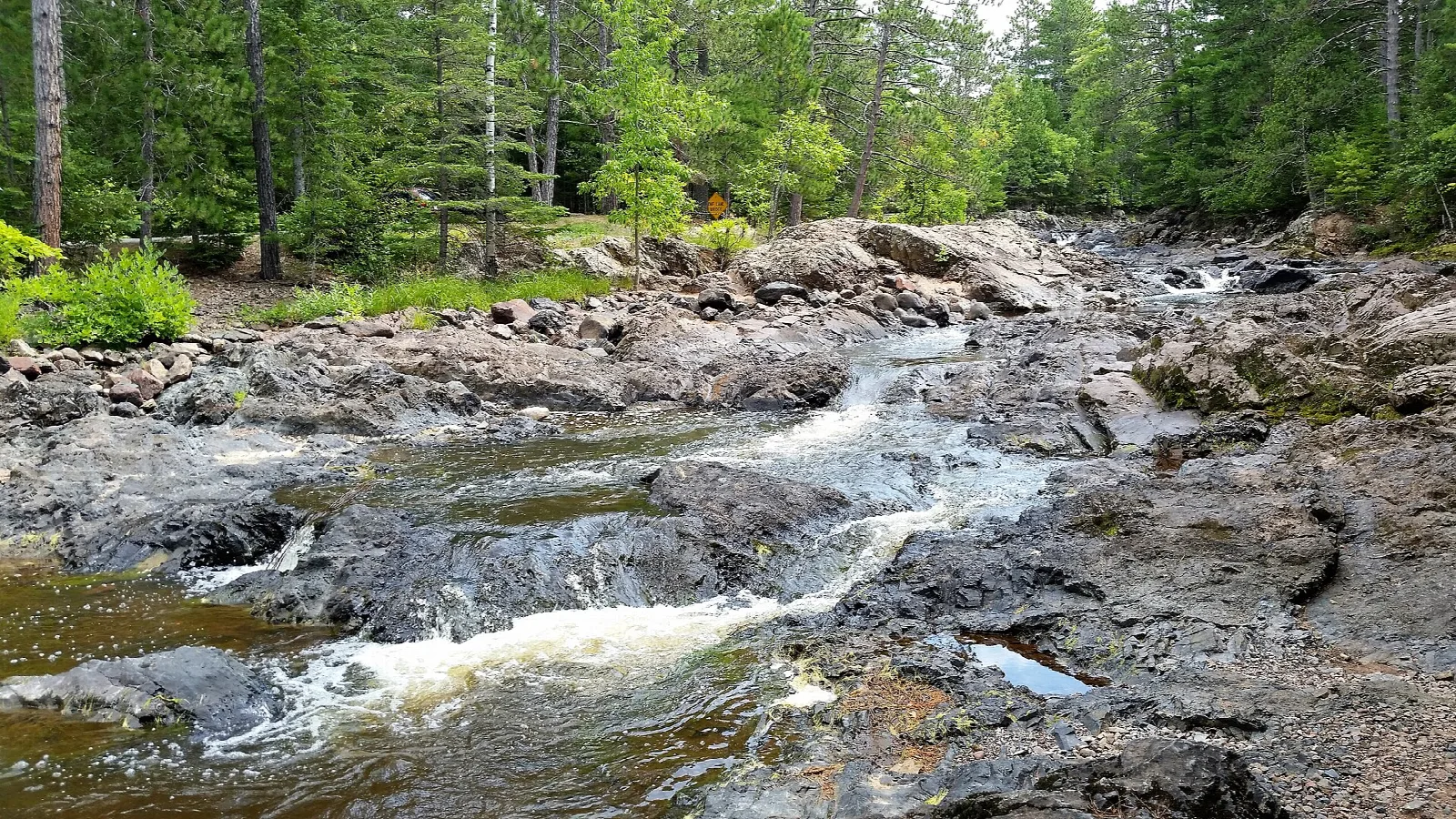 River running over rocky ledges through forest